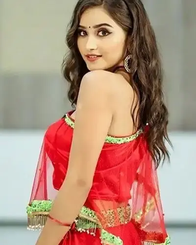 Escort In Ferrargunj